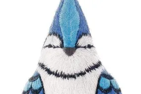 Blue Jay Embroidery Kit from Kiriki