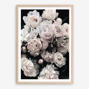 Dark Blooms II Art Print