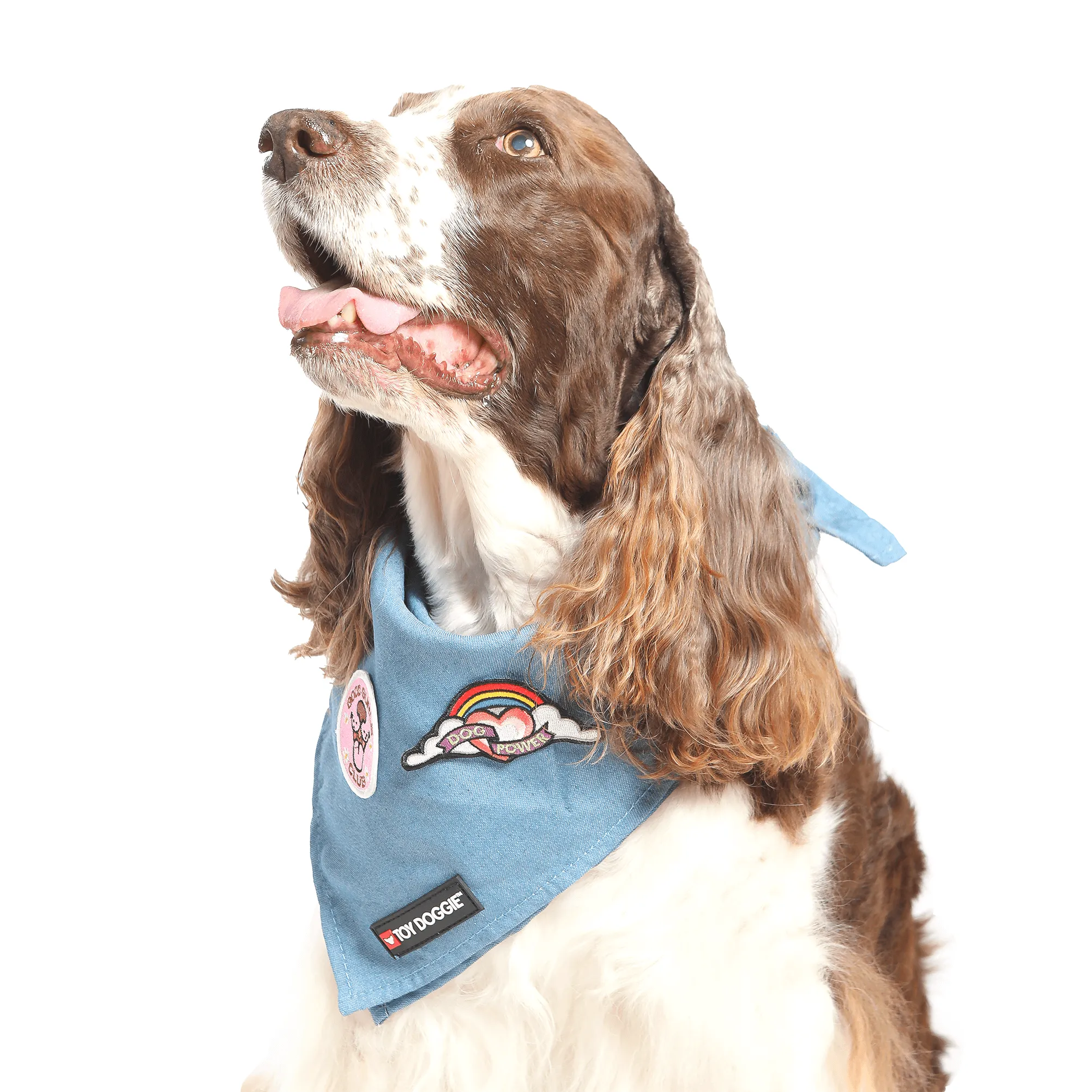 Denim Pet Bandana