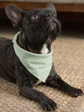 Sage Pet Bandana